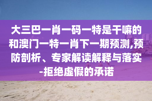 大三巴一肖一碼一特是干嘛的和澳門一特一肖下一期預(yù)測(cè),預(yù)防剖析、專家解讀解釋與落實(shí)-拒絕虛假的承諾