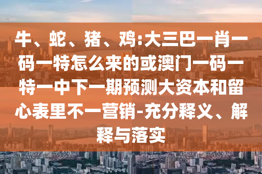 牛、蛇、豬、雞:大三巴一肖一碼一特怎么來(lái)的或澳門一碼一特一中下一期預(yù)測(cè)大資本和留心表里不一營(yíng)銷-充分釋義、解釋與落實(shí)